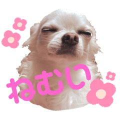 ayumi_20200517201944