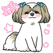 I love Shih_Tzu !!(japanese)