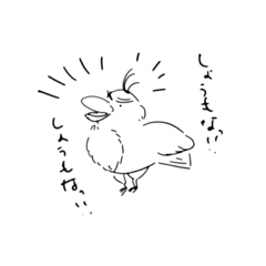 Tanuchan_20200517212714