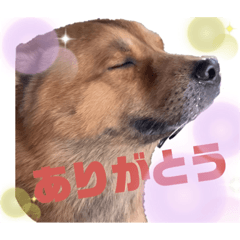 namiheihei20200517