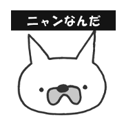 This cat What?