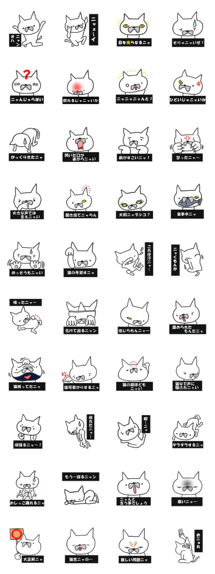 This cat What?