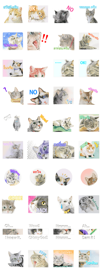 Colored pencil Cat sticker(Thai)
