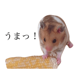 mizuki_20200517233018