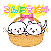 White dog and white cat and rabbit