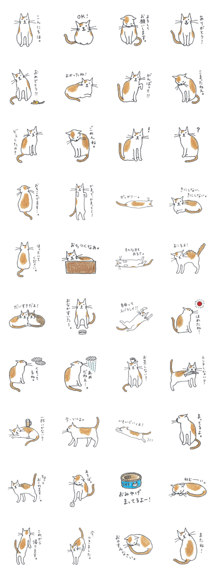 cute cat's life
