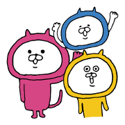 Three-color cat