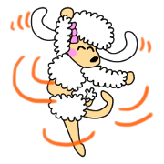 JIN-JIN Poodle Life (2nd)