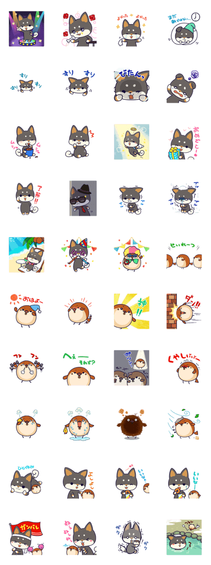 SHIBA-CHUN 2