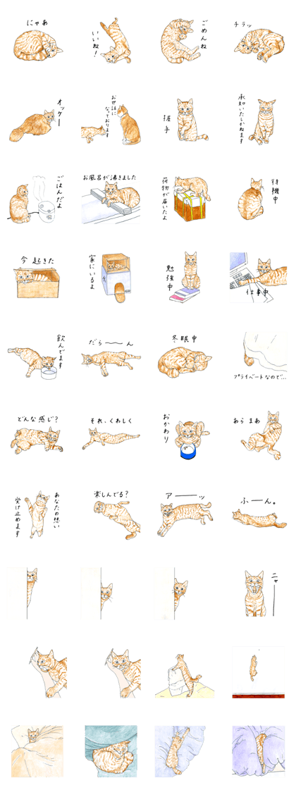 brown tabby cat koto-chan part4
