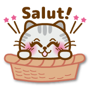 Cute Kitty Cat Journal 2