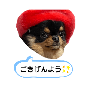 kerokerokerori_20200517233428