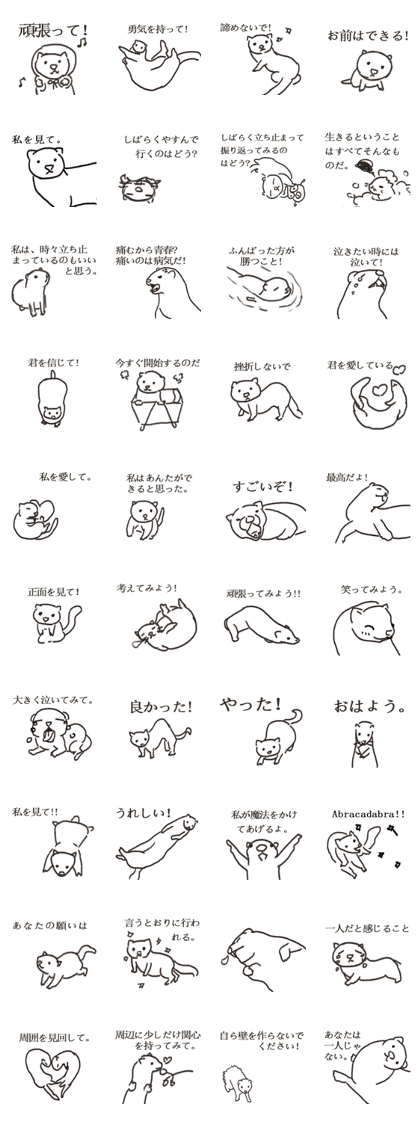 Ferret_in my heart to say.