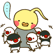 daruinko-3
