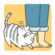 Pleasant life with the cat