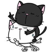 White cat and black cat 2