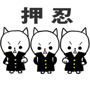 Three white cats