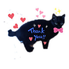 RINGO_20200517225940