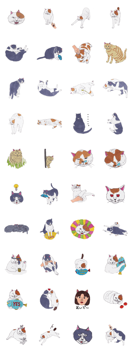Free life of stay cats