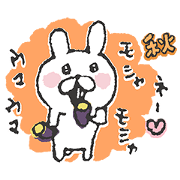 Miracle Bunny 1st