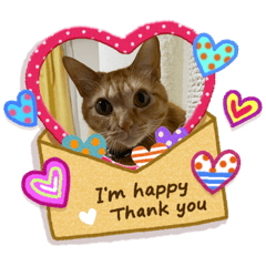 ayumi_20200518105840