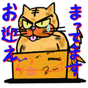 Eyebrows Cat "ROKUSABURO"5