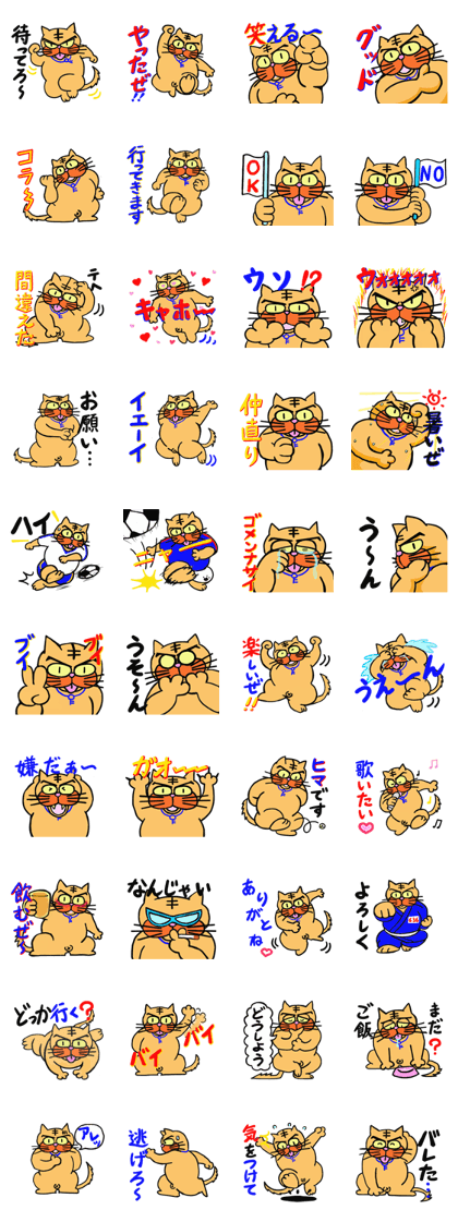 Eyebrows Cat "ROKUSABURO"5