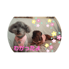Charlie_20200518060029