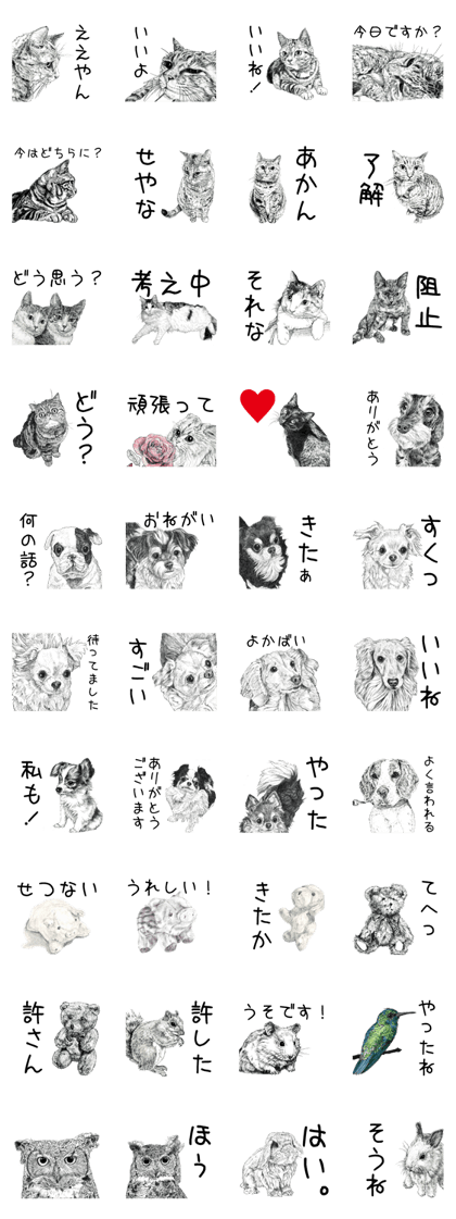 Cats & Dogs 3 - Works of Takahiro Yamada