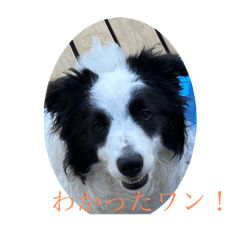 kero_reo2