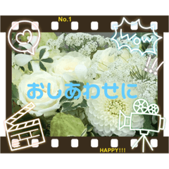 ringo_20200518150535frower