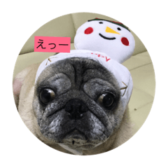 hana_20200518105631