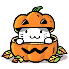 pumpkin pants cat