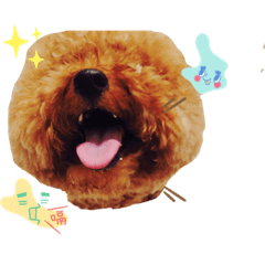 annetoby123hhjgtyui