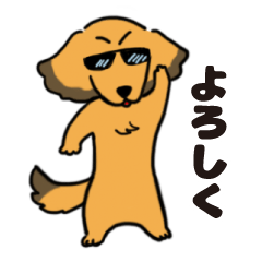 Marron of Dachshund 02