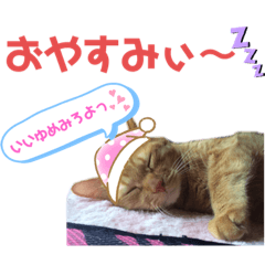 mizuki_20200518131415