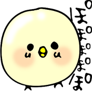 poppopopopopo