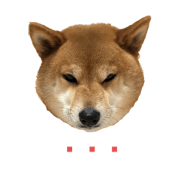 shibainu marine_2nd