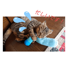 nanami_20200518162156