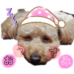 NINON_20200517231640