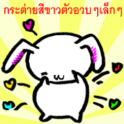 A little thick white rabbit [Thailand]
