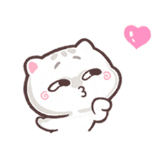 little cute cat-Tuan