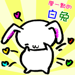 A little thick white rabbit [Taiwan]