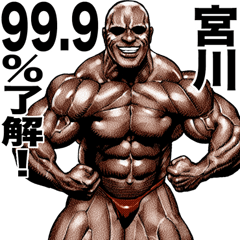 Miyagawa dedicated Muscle macho sticker