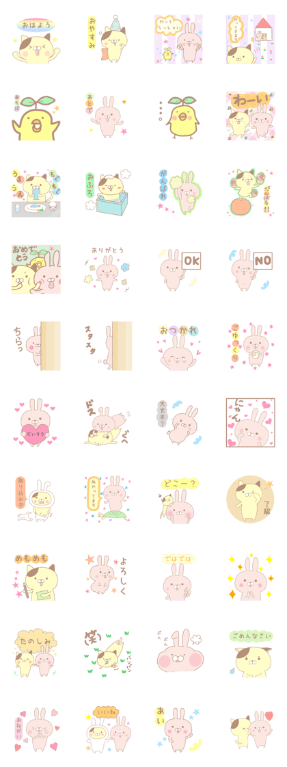 cat and rabbit for everyday