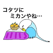 a bird in a cage