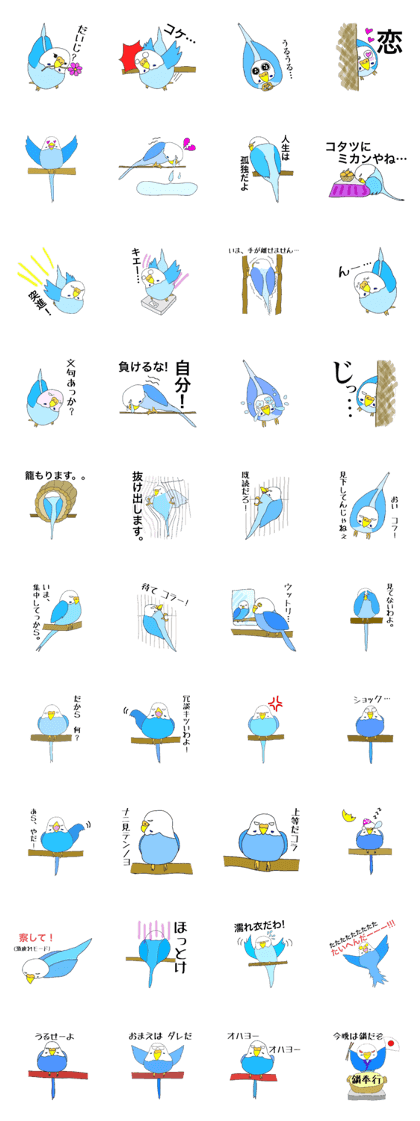 a bird in a cage