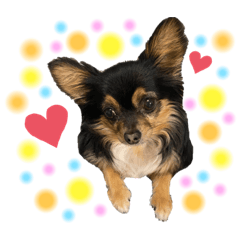 sally_20200518165233