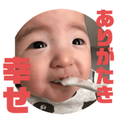 20513sdai