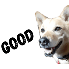 CHIBI_20200518113459